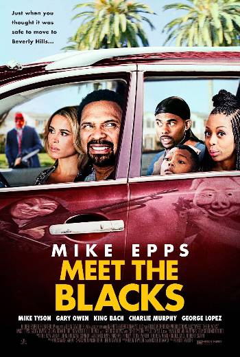 Download Meet the Blacks 2016 Dual Audio [Hindi 5.1-Eng] WEB-DL Full Movie 1080p 720p 480p HEVC